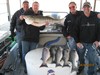 (04/04/2015) - Nice Striped Bass